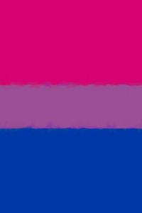 Bisexual Pride Flag Sketchbook