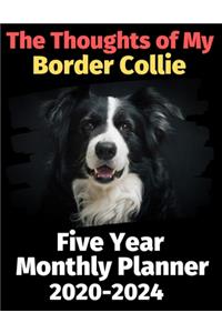 The Thoughts of My Border Collie