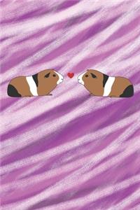 Meerschweinchen-Liebe