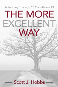 More Excellent Way: A journey through 1st Corinthians 13