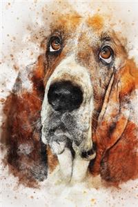 Basset Hound Journal