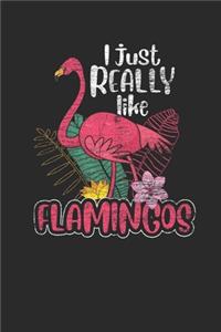 I Just Really Like Flamingos