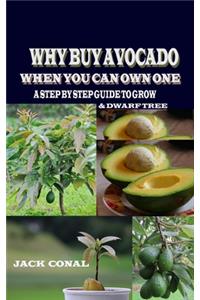 Why Buy Avocado When You Can Own One