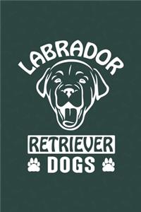 Labrador Retriever Dogs
