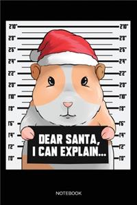 Dear Santa I Can Explain