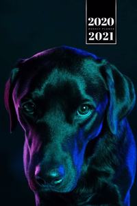 Labrador Golden Retriever Dog Calendar Week Planner 2020 / 2021 - Night Lights