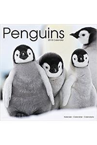 Penguins Calendar 2018