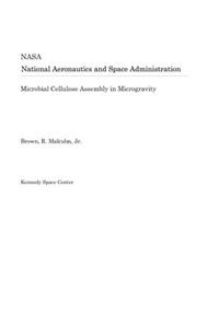 Microbial Cellulose Assembly in Microgravity