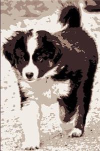 Hundetagebuch