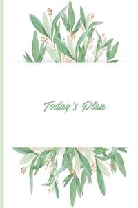 Today's Plan