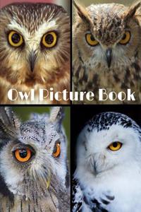 Owl Picture Book 8.5 X 11