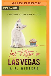 Lost Kitten in Las Vegas