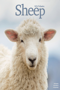 Sheep Calendar 2024  Square Farm Animal Wall Calendar - 16 Month