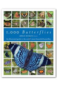 1000 Butterflies