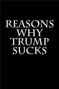 Reasons Why Trump Sucks