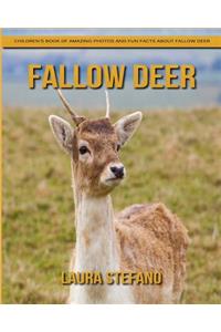 Fallow Deer