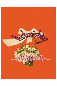 Astonishing Sketchbook