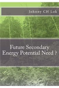 Future Secondary Energy Potential Need ?