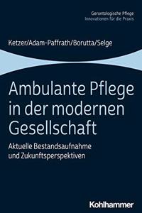 Ambulante Pflege in Der Modernen Gesellschaft