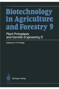 Plant Protoplasts and Genetic Engineering II