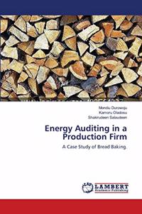Energy Auditing in a Production Firm