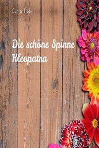 schöne Spinne Kleopatra