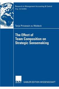 Effect of Team Composition on Strategic Sensemaking