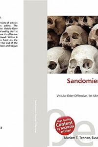 Sandomierz-Silesian Offensive