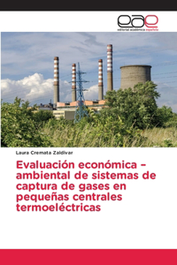 Evaluación económica -ambiental de sistemas de captura de gases en pequeñas centrales termoeléctricas