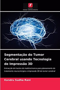 Segmentação do Tumor Cerebral usando Tecnologia de Impressão 3D
