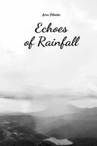 Echoes of Rainfall