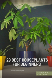 29 Best Houseplants For Beginners