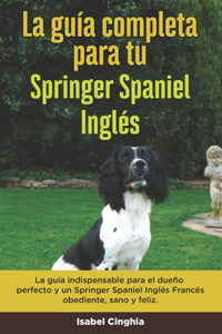 Guía Completa Para Tu Springer Spaniel Inglés