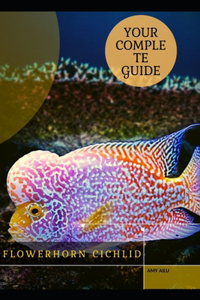 Flowerhorn Cichlid