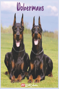 Dobermans 2021 Wall Calendar