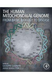 The Human Mitochondrial Genome