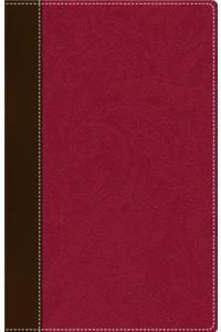 NIV, Bible for Women, Leathersoft, Brown/Pink