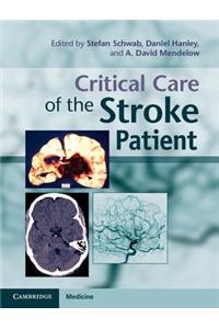 Critical Care of the Stroke Patient