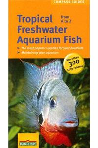 Tropical Freshwater Aquarium Fish: From A to Z