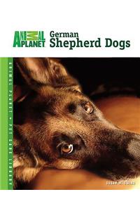 German Shepherd Dogs