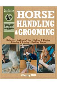 Horse Handling & Grooming