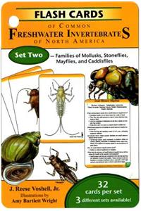 Flash Cards of Common Freshwater Invertebrates of North America: Set Two: Families of Mollusks, Stoneflies, Mayflies, and Caddisflies