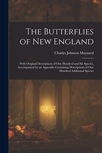 Butterflies of New England