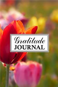 Gratitude Journal