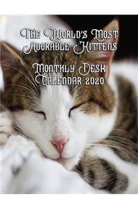 The World's Most Adorable Kittens