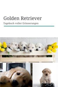 Golden Retriever Tagebuch voller Erinnerungen