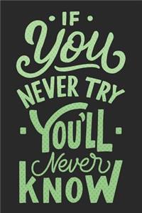 If You Never Try You'll Never Know