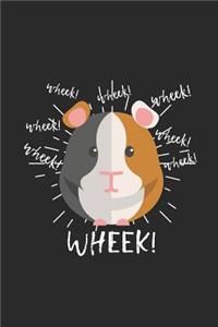 Wheek Guinea Pig
