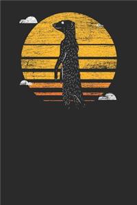 Meerkat Sunset