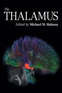 Thalamus